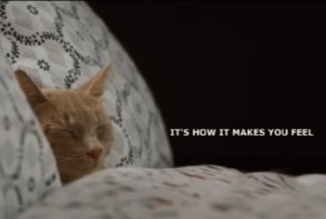 ���� �������� ����� ��������� ����