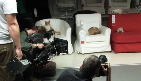 ���� �������� ����� ��������� ����