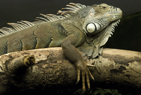 �������� ������� �� ������� �������