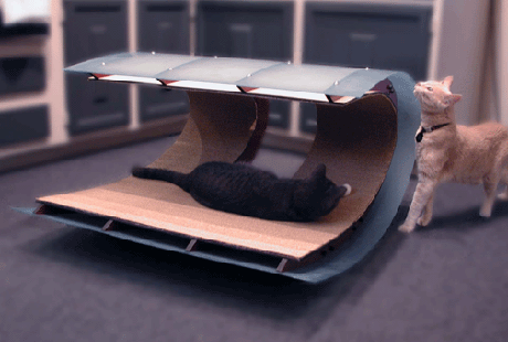 ��� ����� ����� ������?