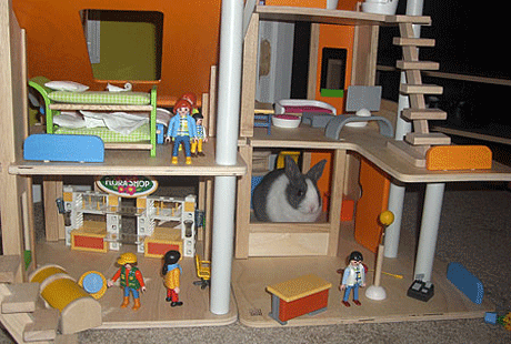 ��� �������� ��������� �������?