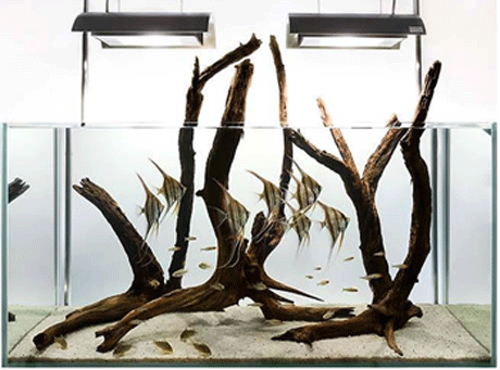 ����������� ����������