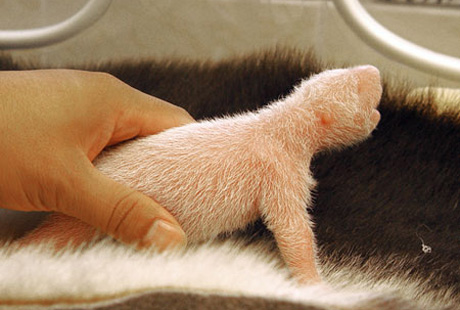 ���������� � ��������� ����