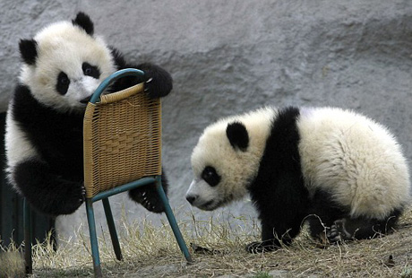 ���������� � ��������� ����