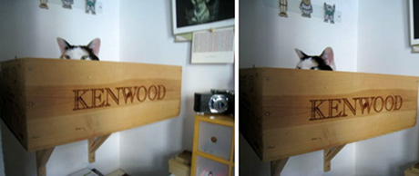 ������ ������� ��� �����