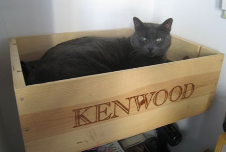 ������ ������� ��� �����