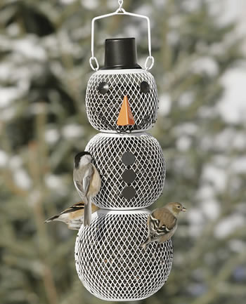 ������ ������� ��� ����