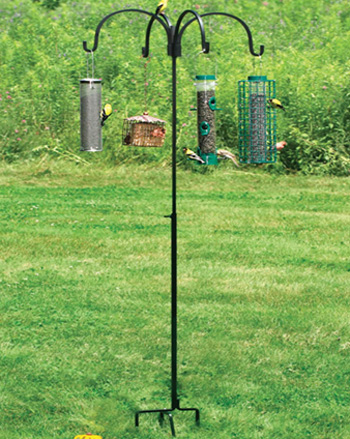 ������ ������� ��� ����