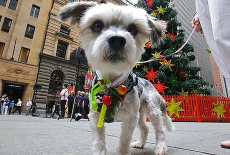 ��������� ������ ������