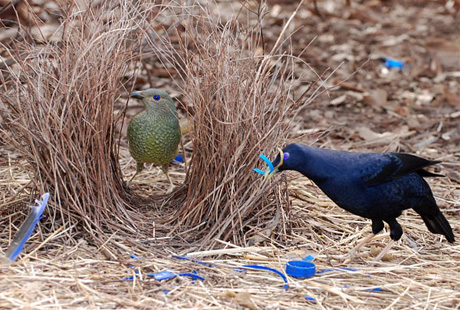 ����������� �����