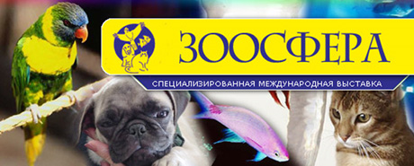 �������� ������� ������������ ���������