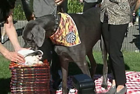 � ���-����� ����������� ����� ������� � ����� ��������� ������ ����