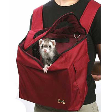 � �������� �� ������