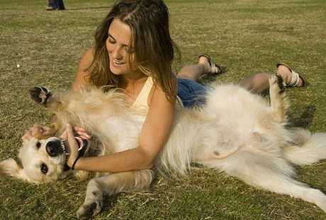 ���� ���� ��������� �����