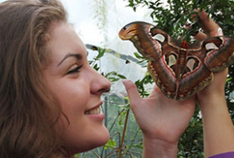 � ���������� ��������� ����� ������� �������