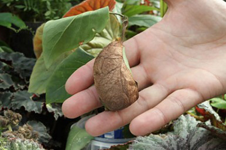 � ���������� ��������� ����� ������� �������