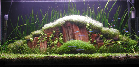 ����������� ���� � �������������