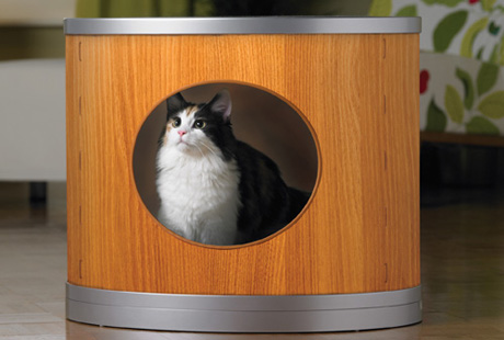 ������ 21 ����