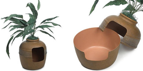 ������ 21 ����