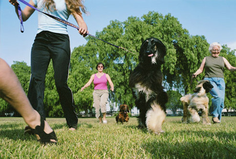 � ������� �������� ���������� �������� ��� �����