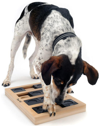 ������� � ���������