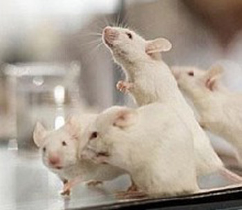 ����� � �����