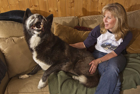 ������� �����?