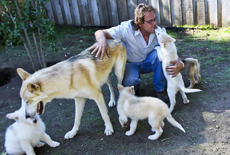 ������� �����?