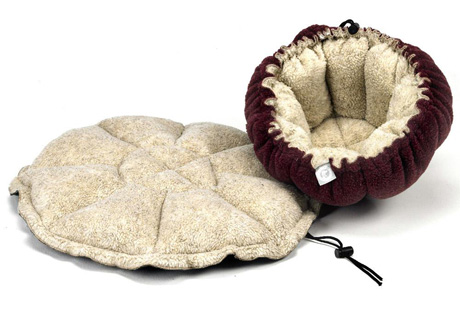 ��� ������ �����?