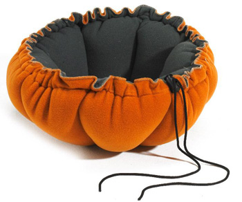 ��� ������ �����?