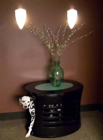 ��� ������ �����?