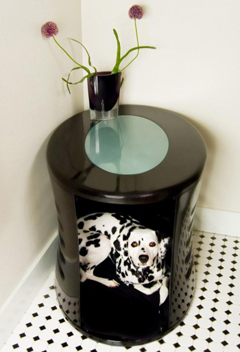 ��� ������ �����?