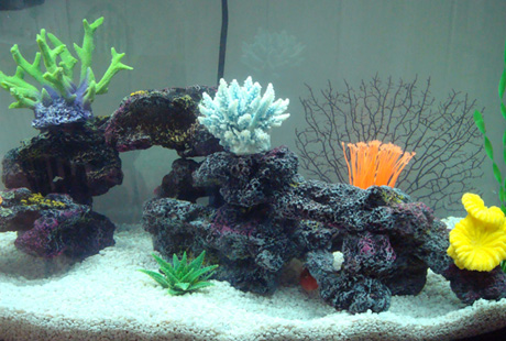 ���������� ��������� �������