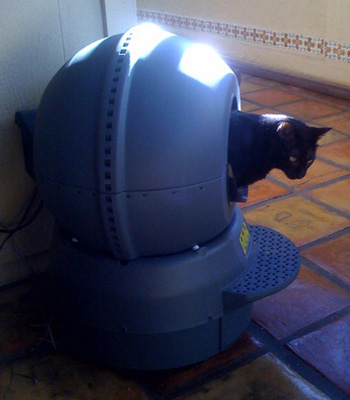 �����-�����