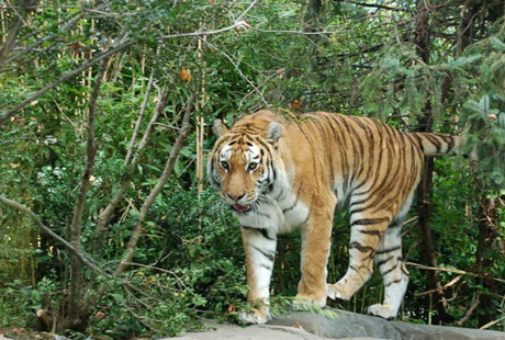 �������� ������