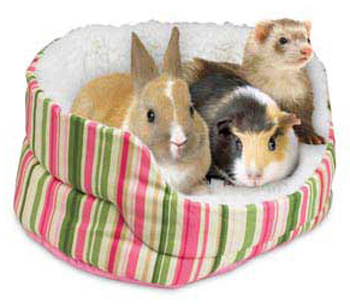 � ��������, � �������