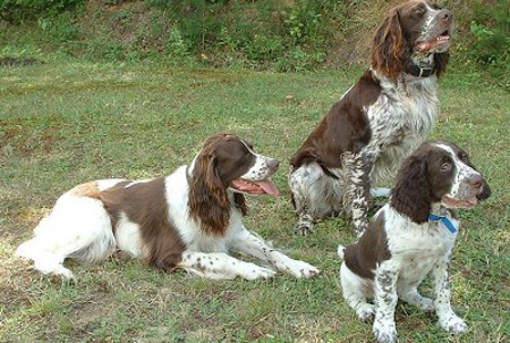 ������� ���� ������������ ����������