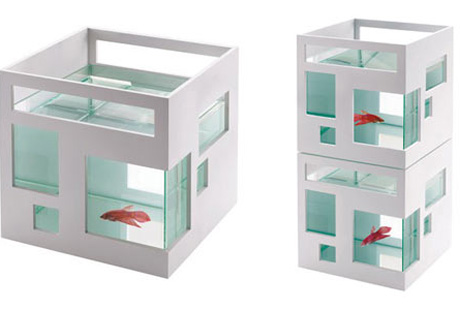 ��������� �����