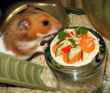 ������� ��������. ����