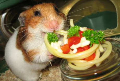 ������� ��������. ����