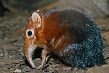 � ������ ����� ����� �������� � �����