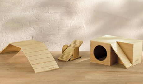 ��� �� ������ �������?