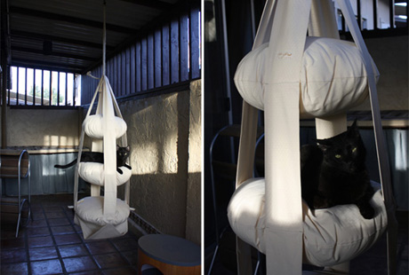 ��������� ����� ��� �����