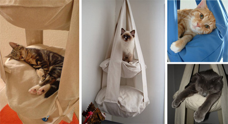 ��������� ����� ��� �����