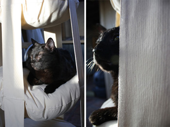 ��������� ����� ��� �����