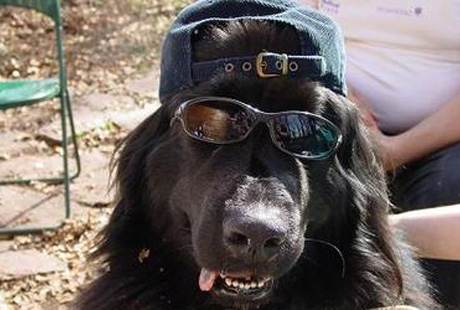 ������ � �������� ��-����������