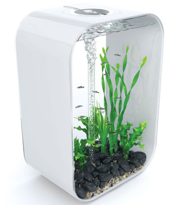 ���� � �������