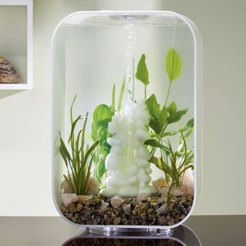 ���� � �������