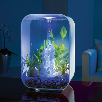 ���� � �������