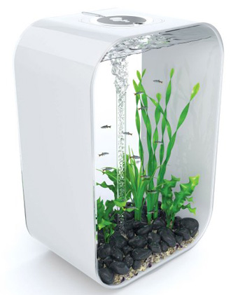 ���� � �������